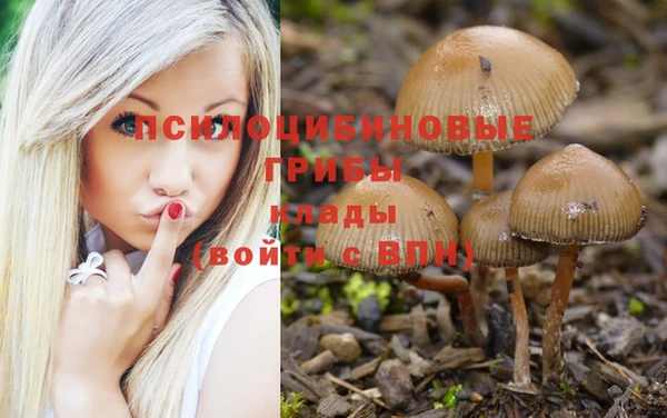 наркотики Каменногорск