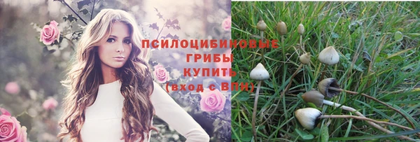наркотики Каменногорск