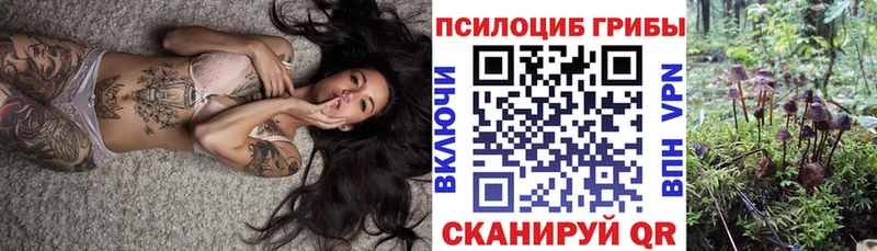 Купить закладки  Гаврилов Посад  Псилоцибиновые грибы MAGIC MUSHROOMS 