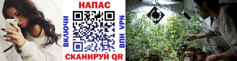Шишки марихуана SATIVA & INDICA Гаврилов Посад